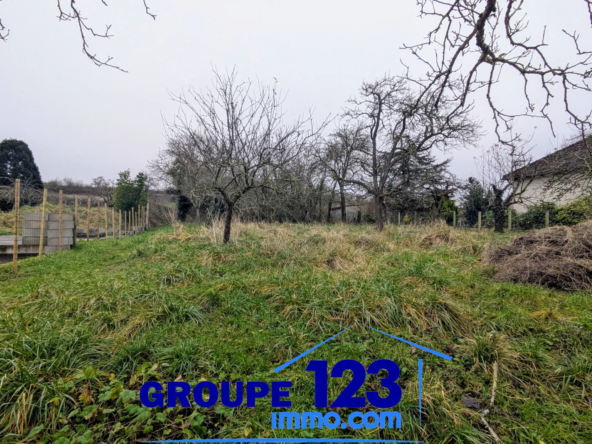 À vendre : Terrain constructible à Branches