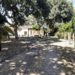 Maison de plain-pied avec 3 chambres et grand jardin à Tauriac