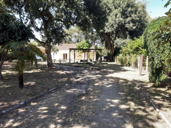 Maison de plain-pied avec 3 chambres et grand jardin à Tauriac