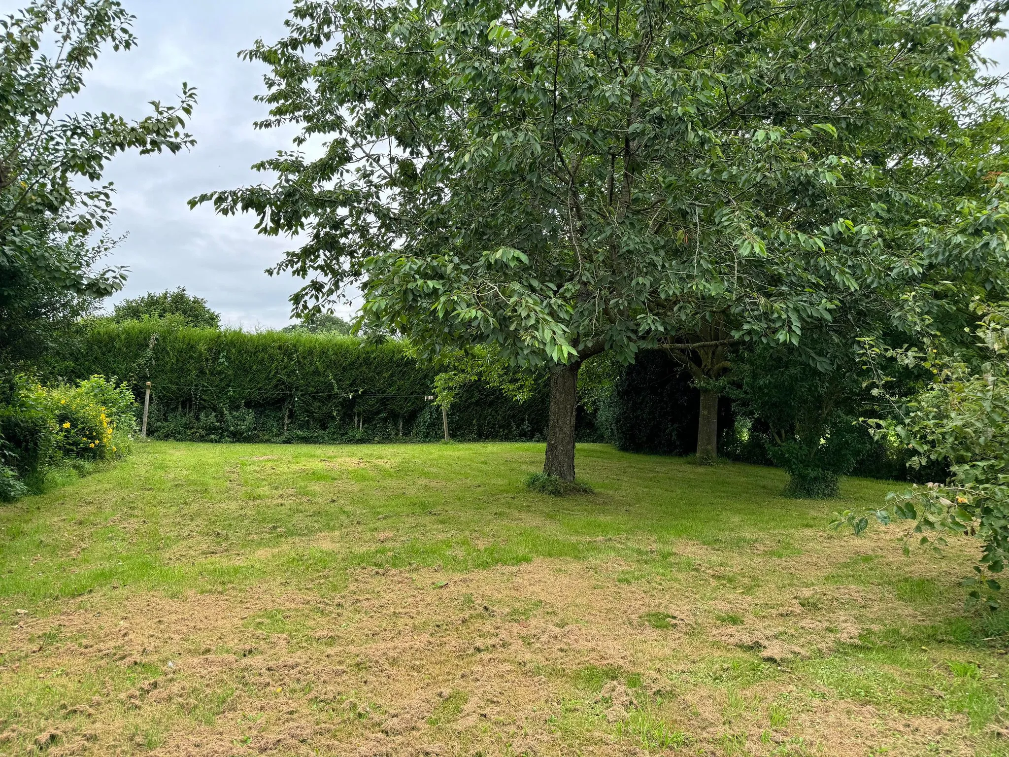 Vente Maison Individuelle à Drucat avec Jardin et Carport 