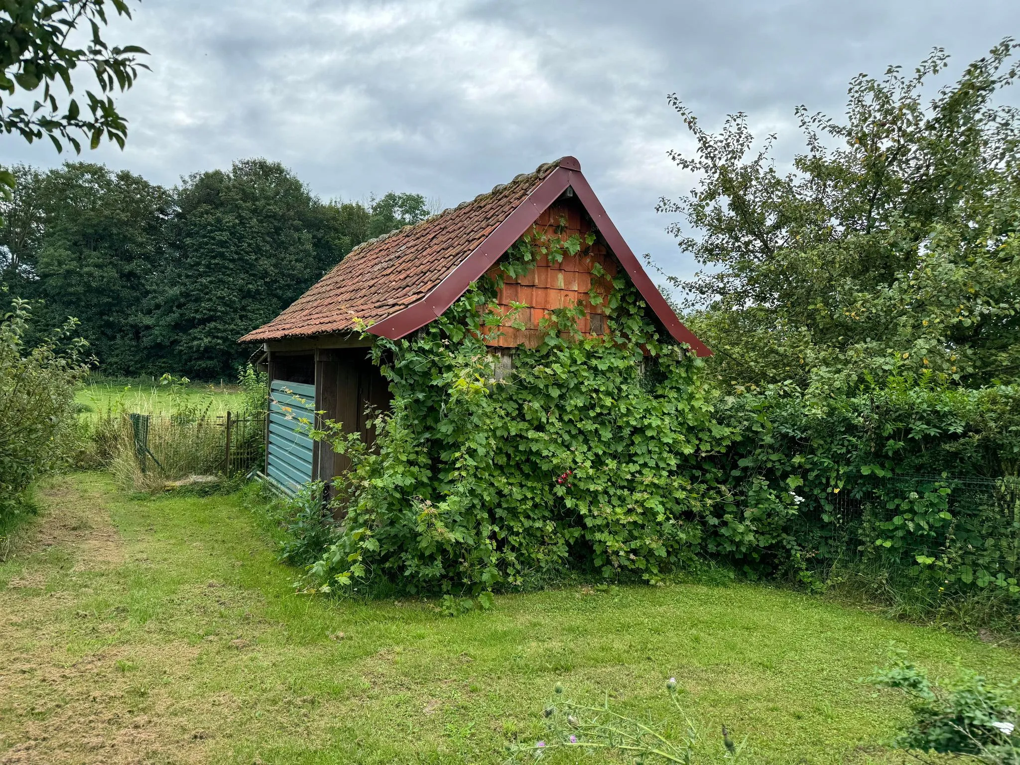 Vente Maison Individuelle à Drucat avec Jardin et Carport 