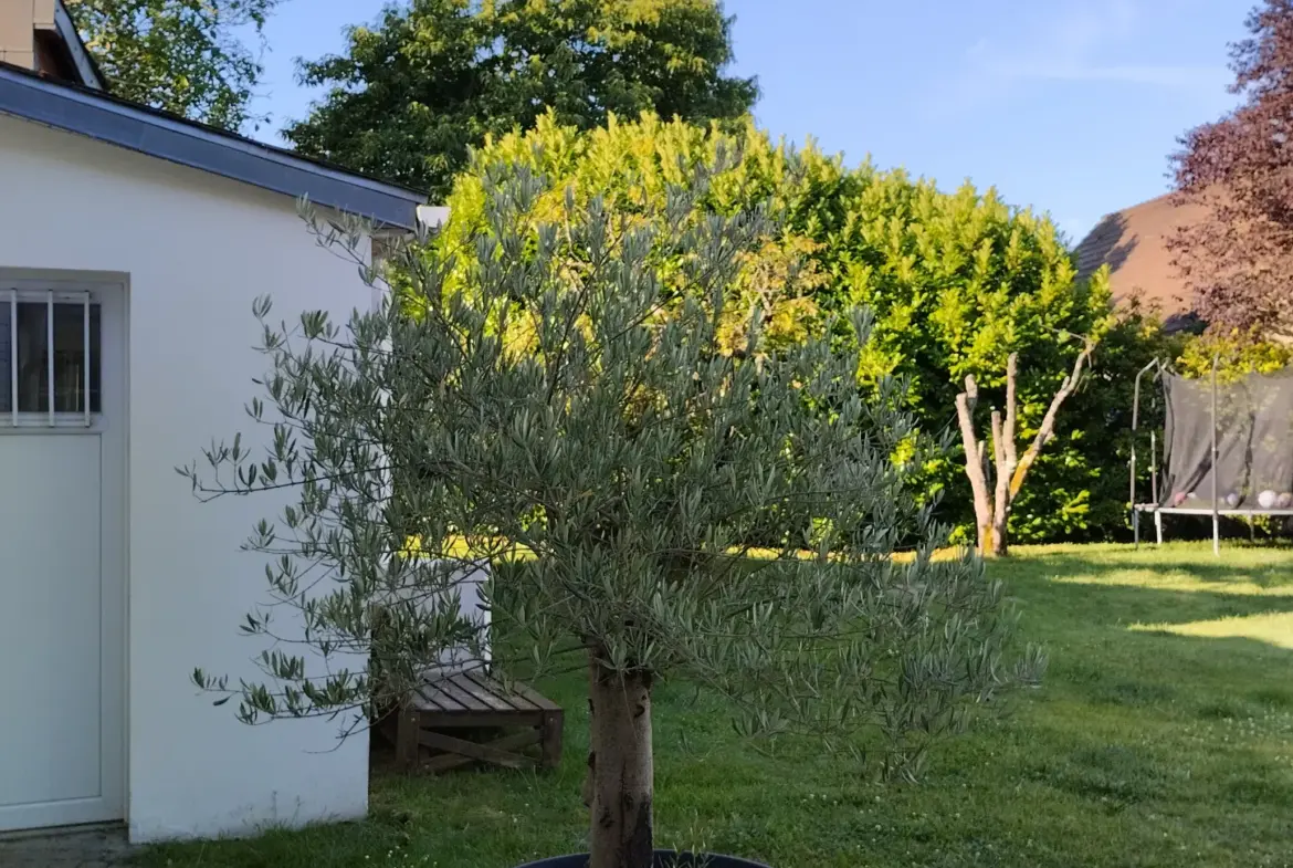 Charmante Maison Ancienne Rénovée à Andeville de 122 m² 