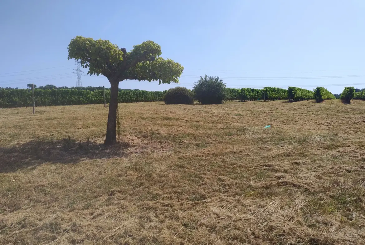 Ancienne Ferme Viticole à Caplong avec Dépendances et Terrain 