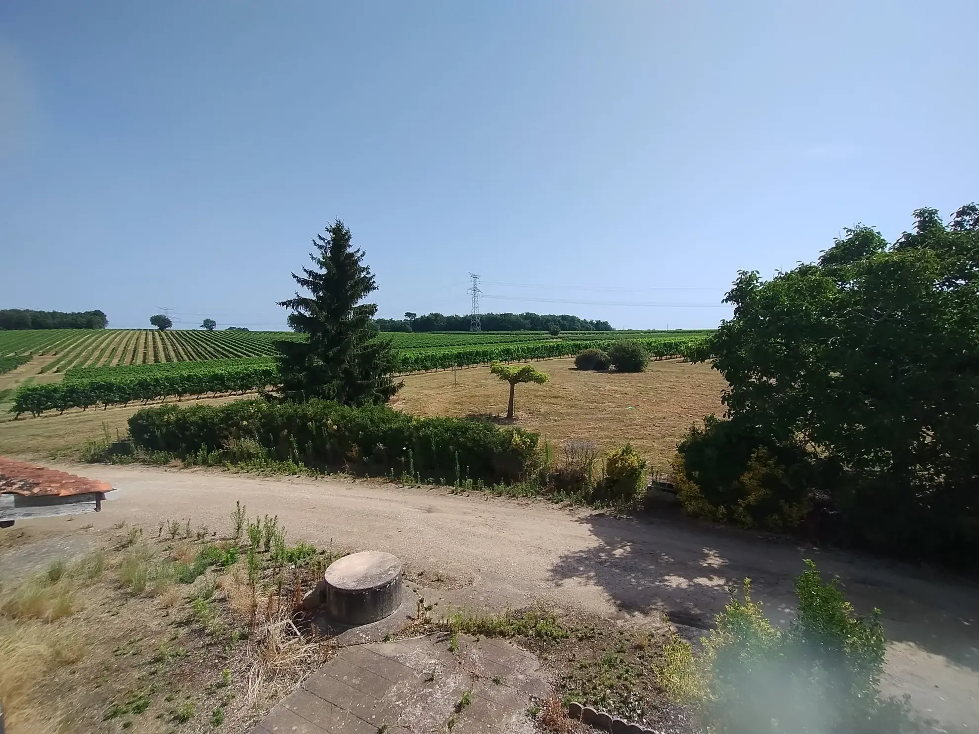 Ancienne Ferme Viticole à Caplong avec Dépendances et Terrain 