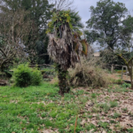 Terrain à bâtir libre de constructeur à Margaux