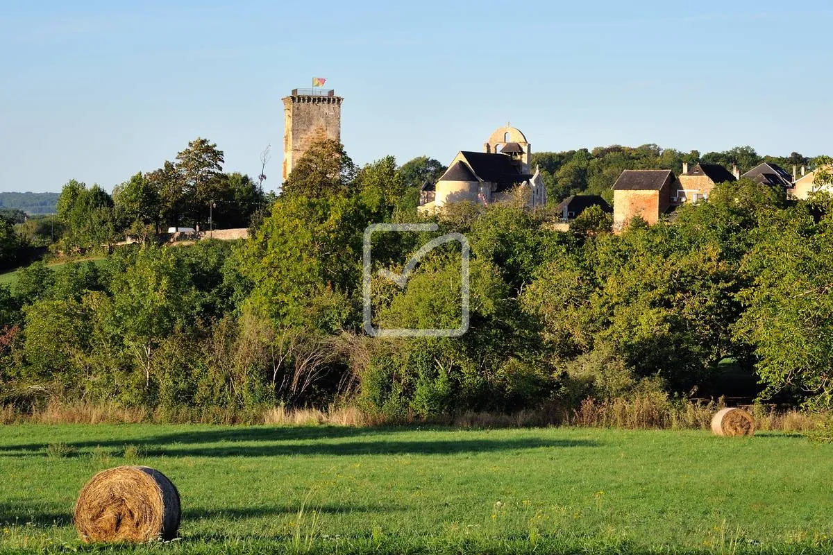 Terrain constructible de 4157 m² à vendre à Chavagnac 