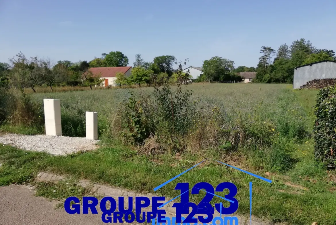 Terrain de 3580 m2 à Saint-Maurice-le-Vieil à vendre 