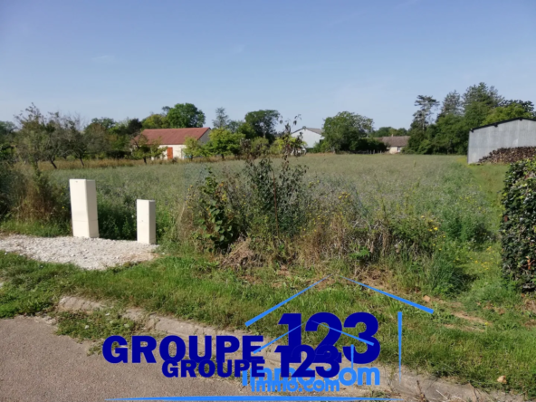 Terrain de 3580 m2 à Saint-Maurice-le-Vieil à vendre