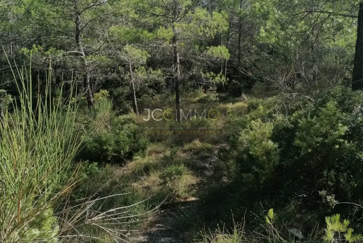 Terrain en zone naturelle de 2400 m2 à Sainte-Anastasie-sur-Issole 