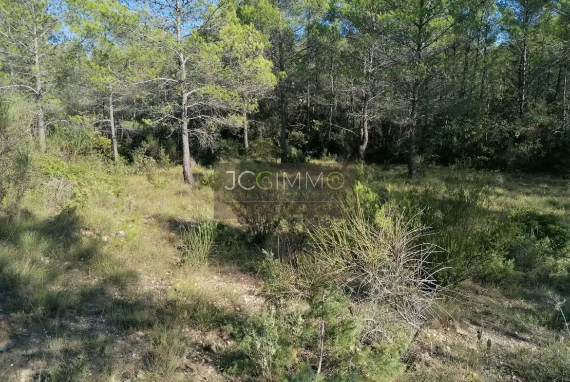 Terrain en zone naturelle de 2400 m2 à Sainte-Anastasie-sur-Issole 