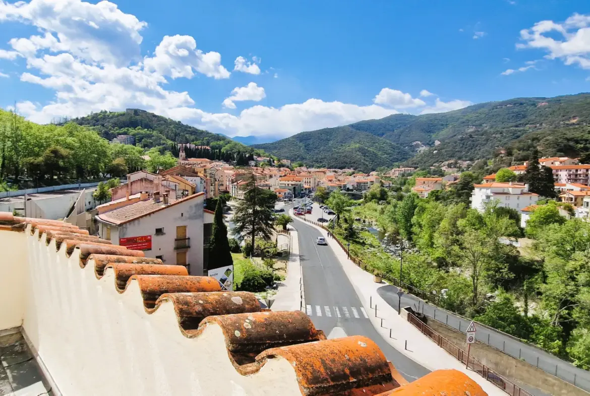 Appartement T1 à vendre à Amélie-les-Bains avec terrasse commune 