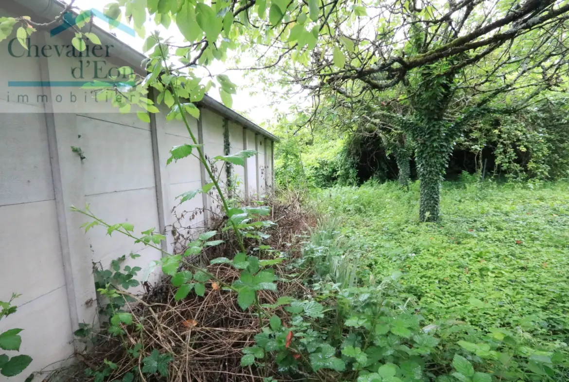 Villa spacieuse à vendre à Tonnerre - 5 chambres, jardin et maison d'amis 