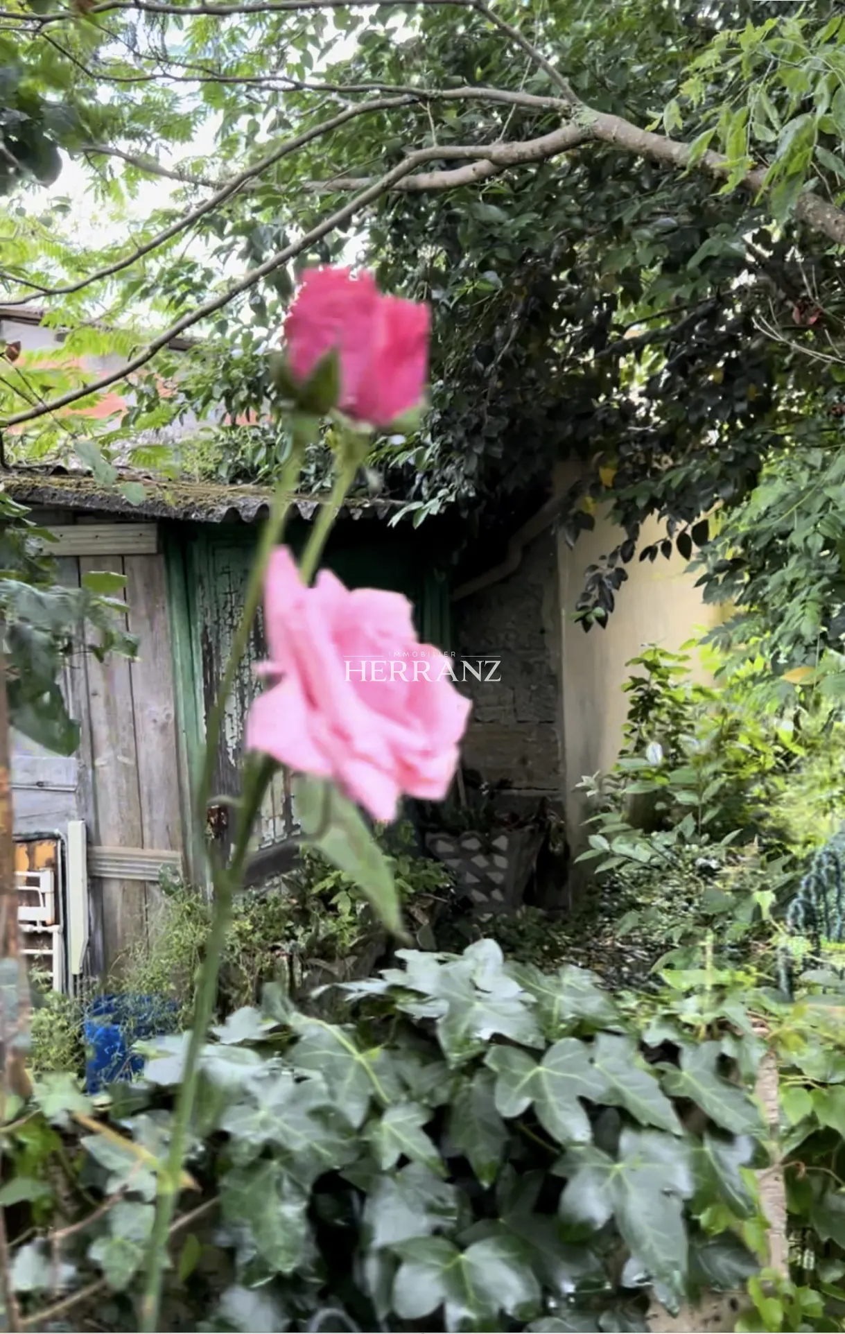 Maison de ville à rénover près de St Denis de Pile avec jardin 