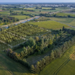 Terrain de loisir de 100 m² à Mudaison dans un jardin partagé