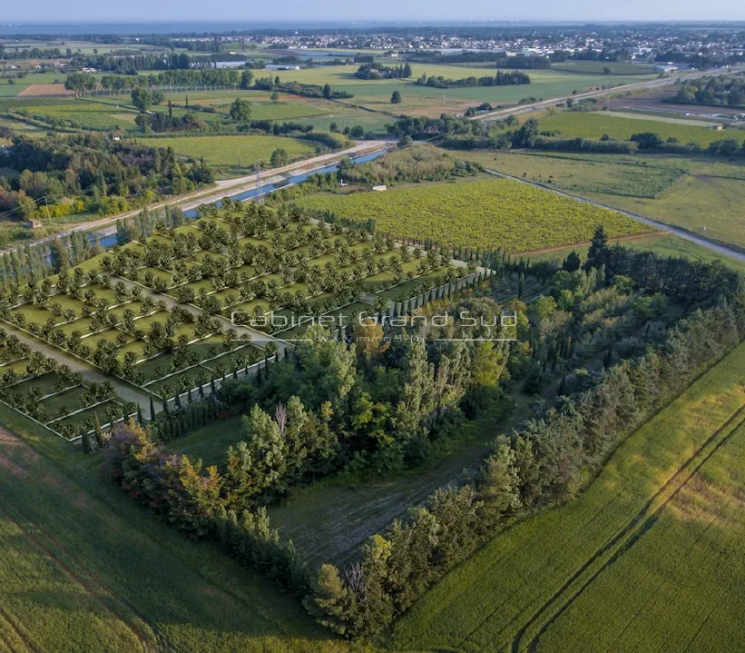 Terrain de loisir de 100 m² à Mudaison dans un jardin partagé 