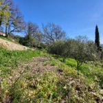 Terrain constructible viabilisé à Pierrefeu-du-Var - 570 m² avec vue