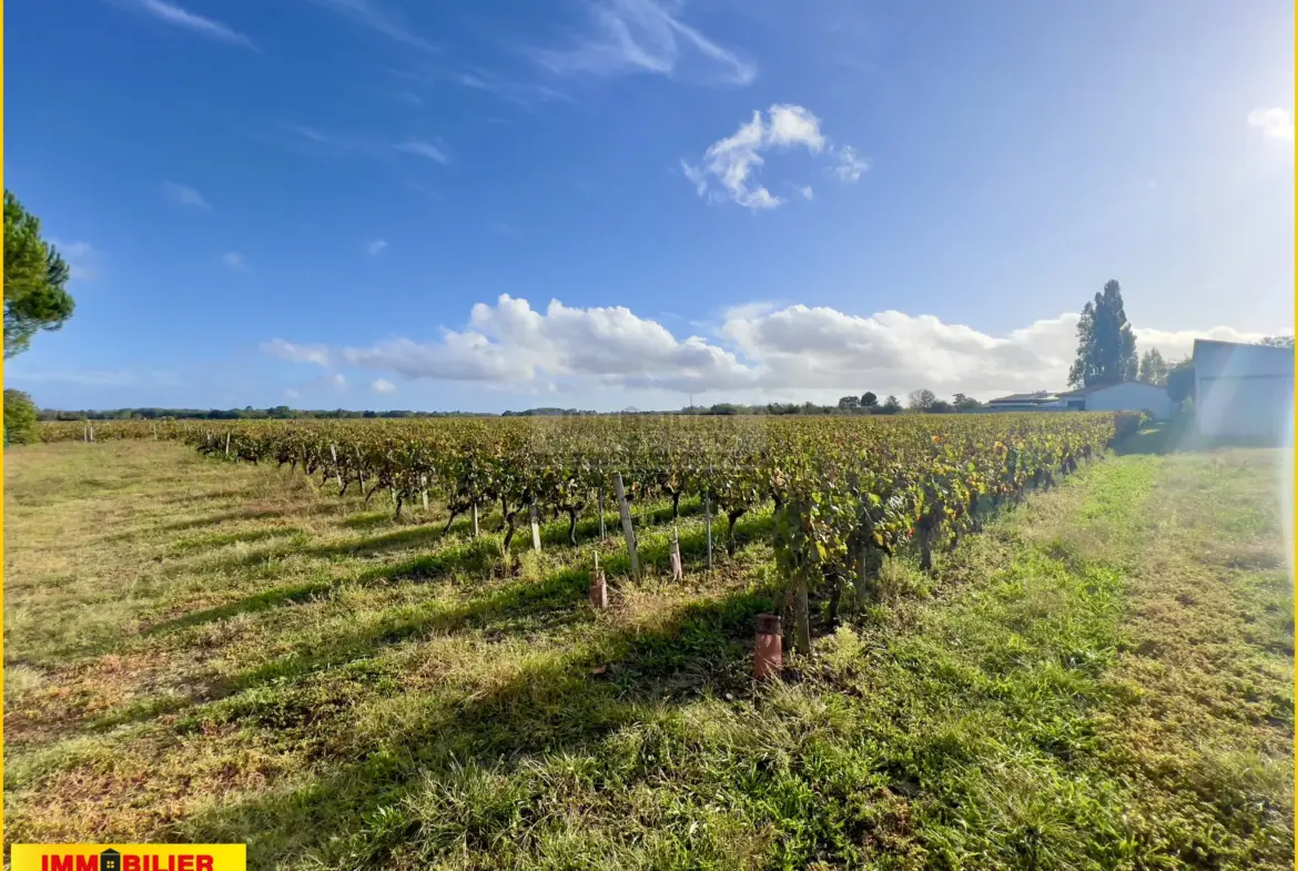 Terrain à bâtir avec vue sur les vignes à Portets 