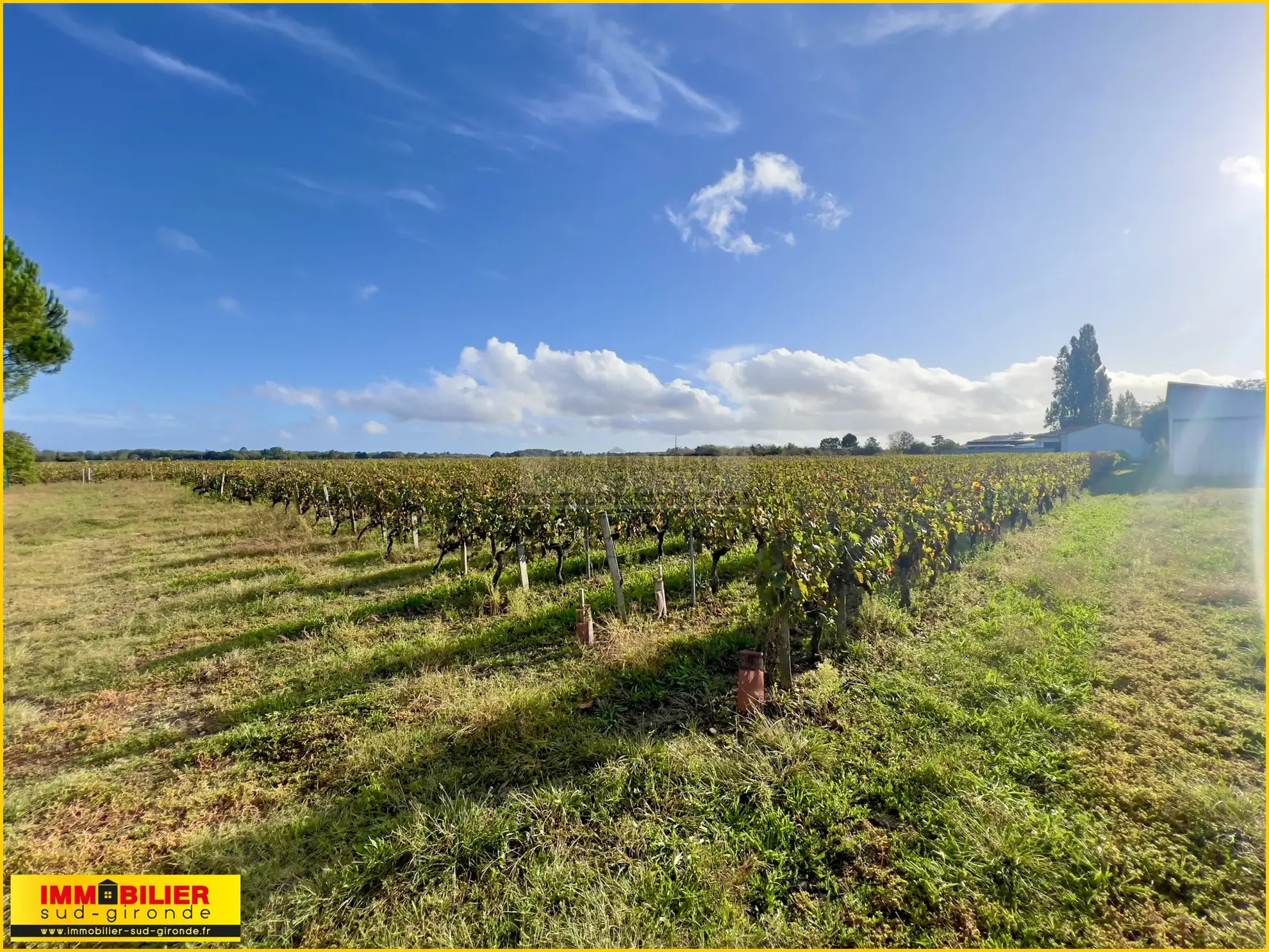 Terrain à bâtir avec vue sur les vignes à Portets 