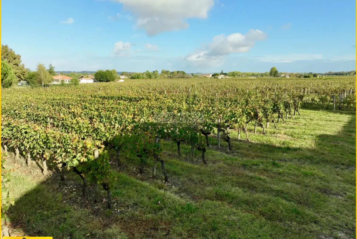 Terrain à bâtir avec vue sur les vignes à Portets 