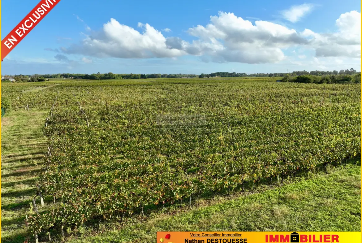 Terrain à bâtir avec vue sur les vignes à Portets 