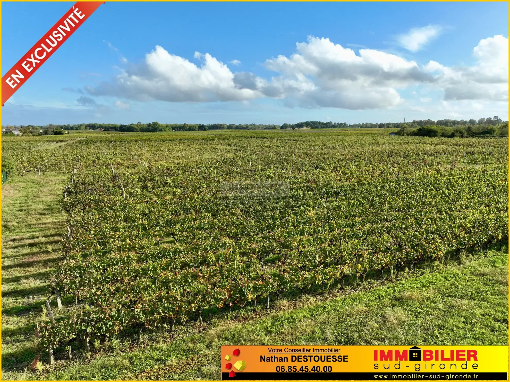 Terrain à bâtir avec vue sur les vignes à Portets 