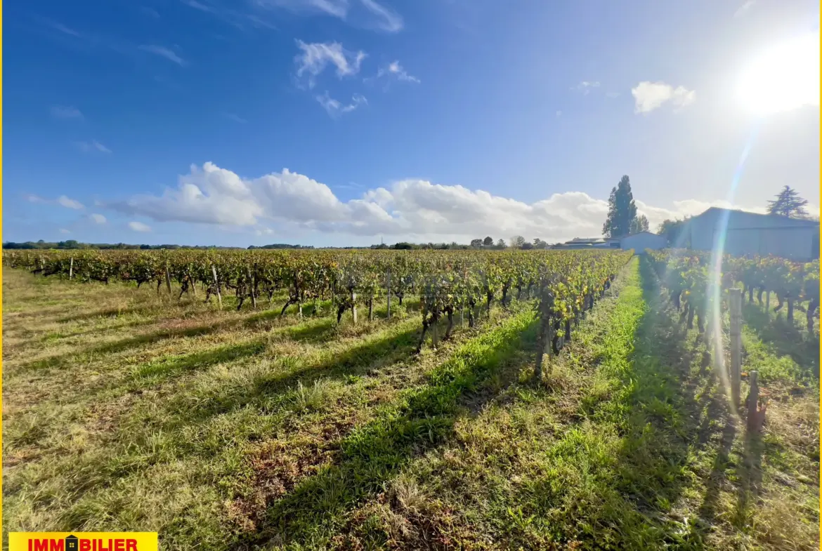 Terrain à bâtir avec vue sur les vignes à Portets 