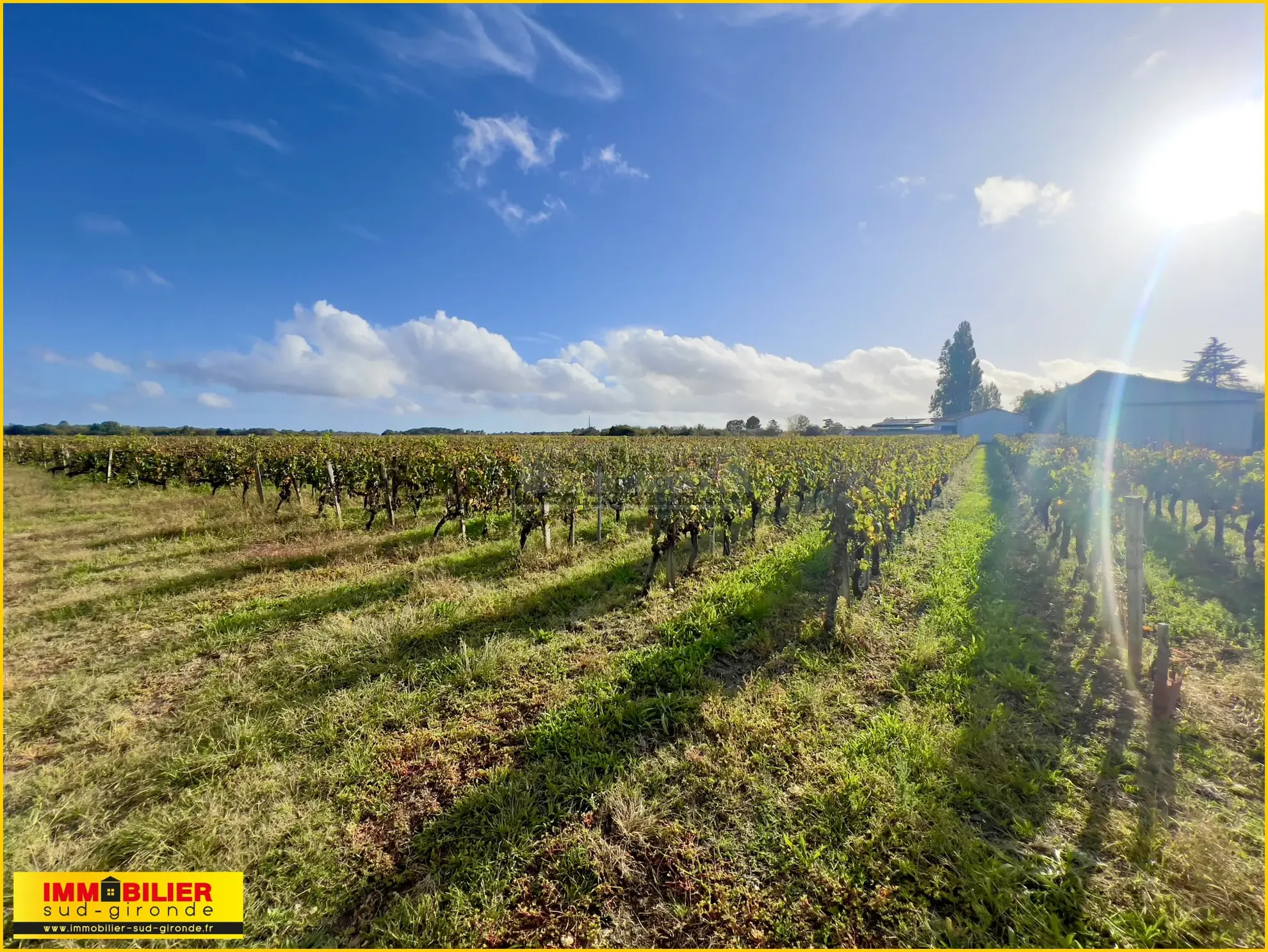 Terrain à bâtir avec vue sur les vignes à Portets 