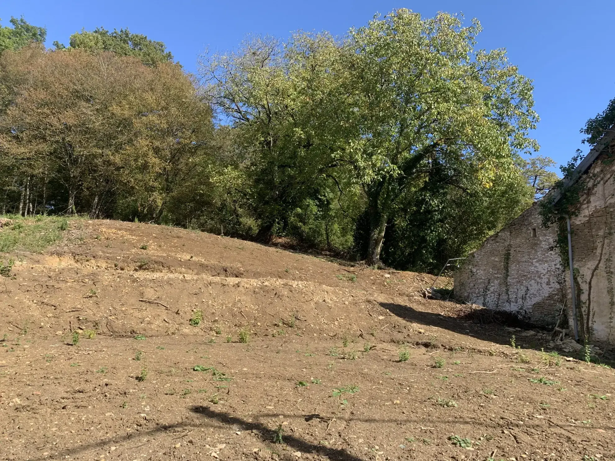 Maison à rénover sur terrain de 15 ares près d'HERICOURT 