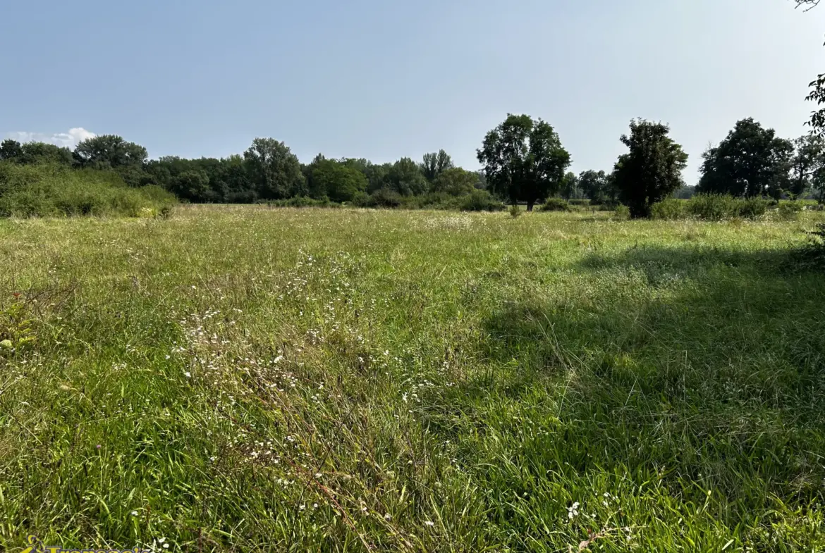 Maison 4 pièces avec dépendances et grand terrain à Limons 