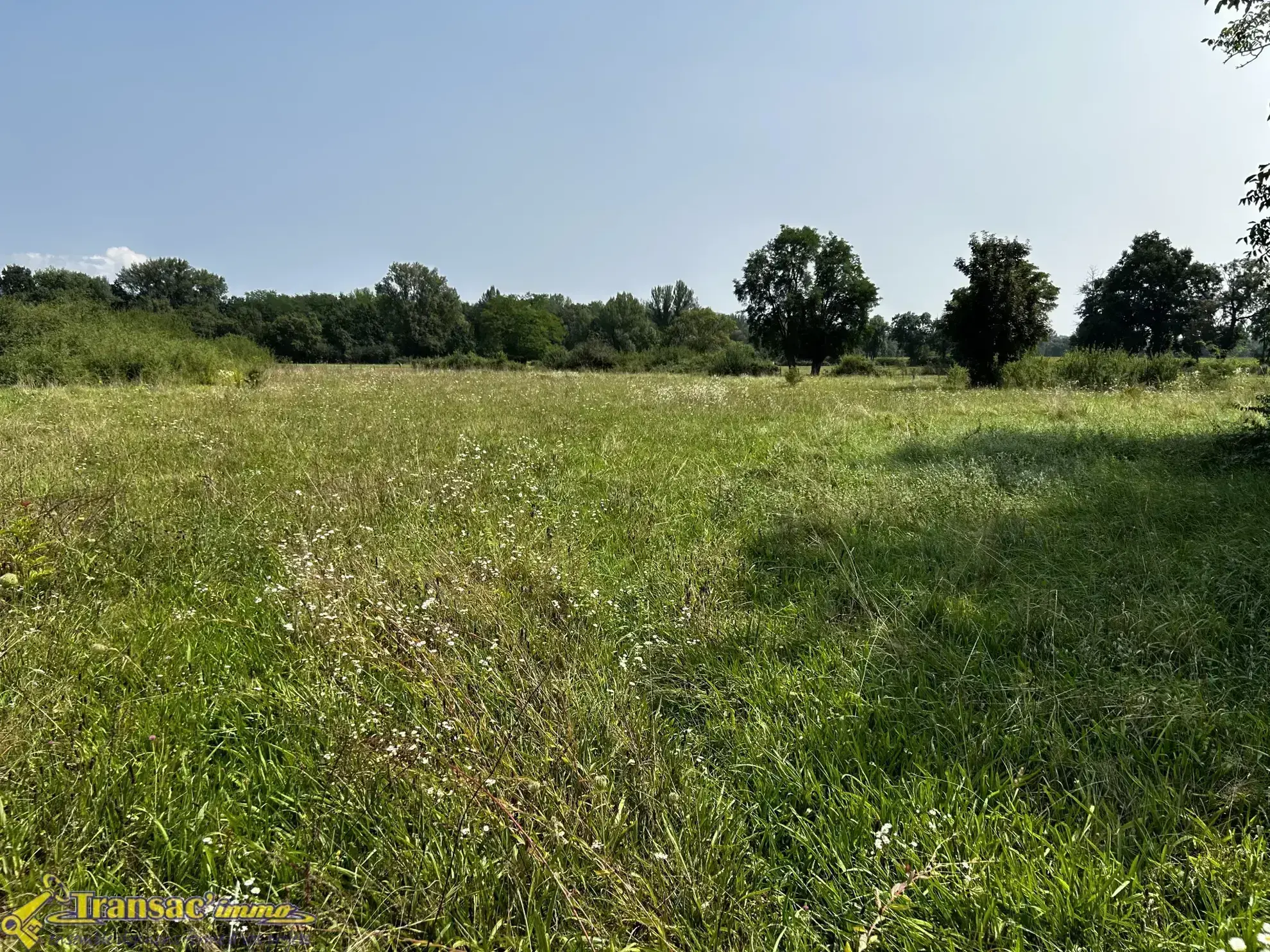 Maison 4 pièces avec dépendances et grand terrain à Limons 