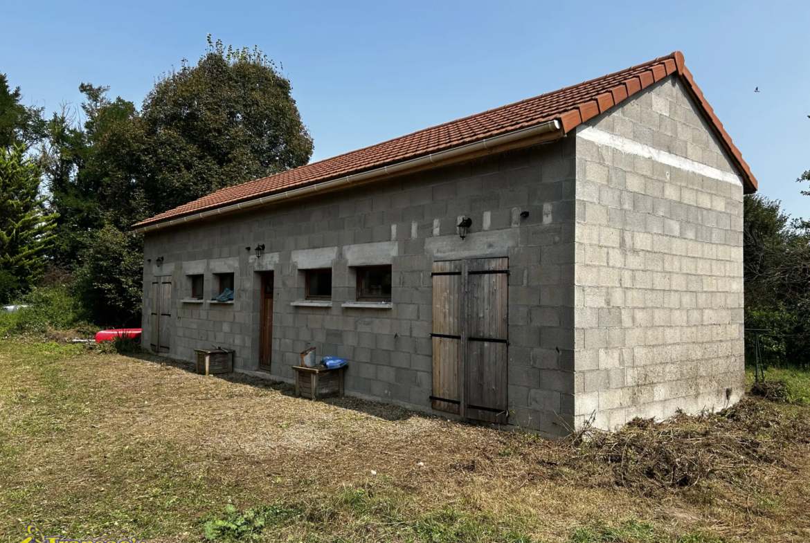 Maison 4 pièces avec dépendances et grand terrain à Limons 