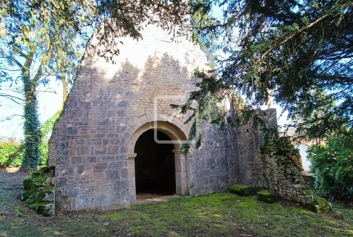 Maison double avec local professionnel à Savignac les Eglises 