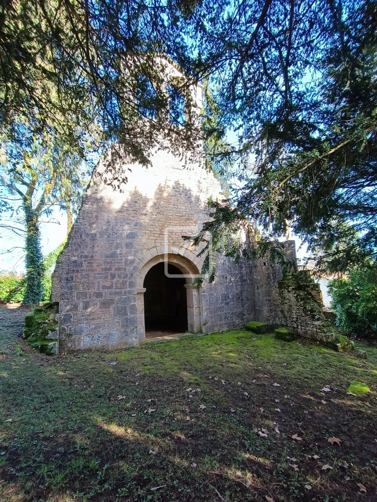 Maison double avec local professionnel à Savignac les Eglises 