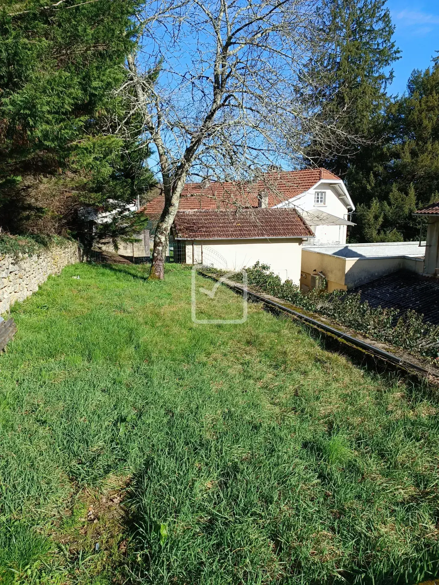 Maison double avec local professionnel à Savignac les Eglises 