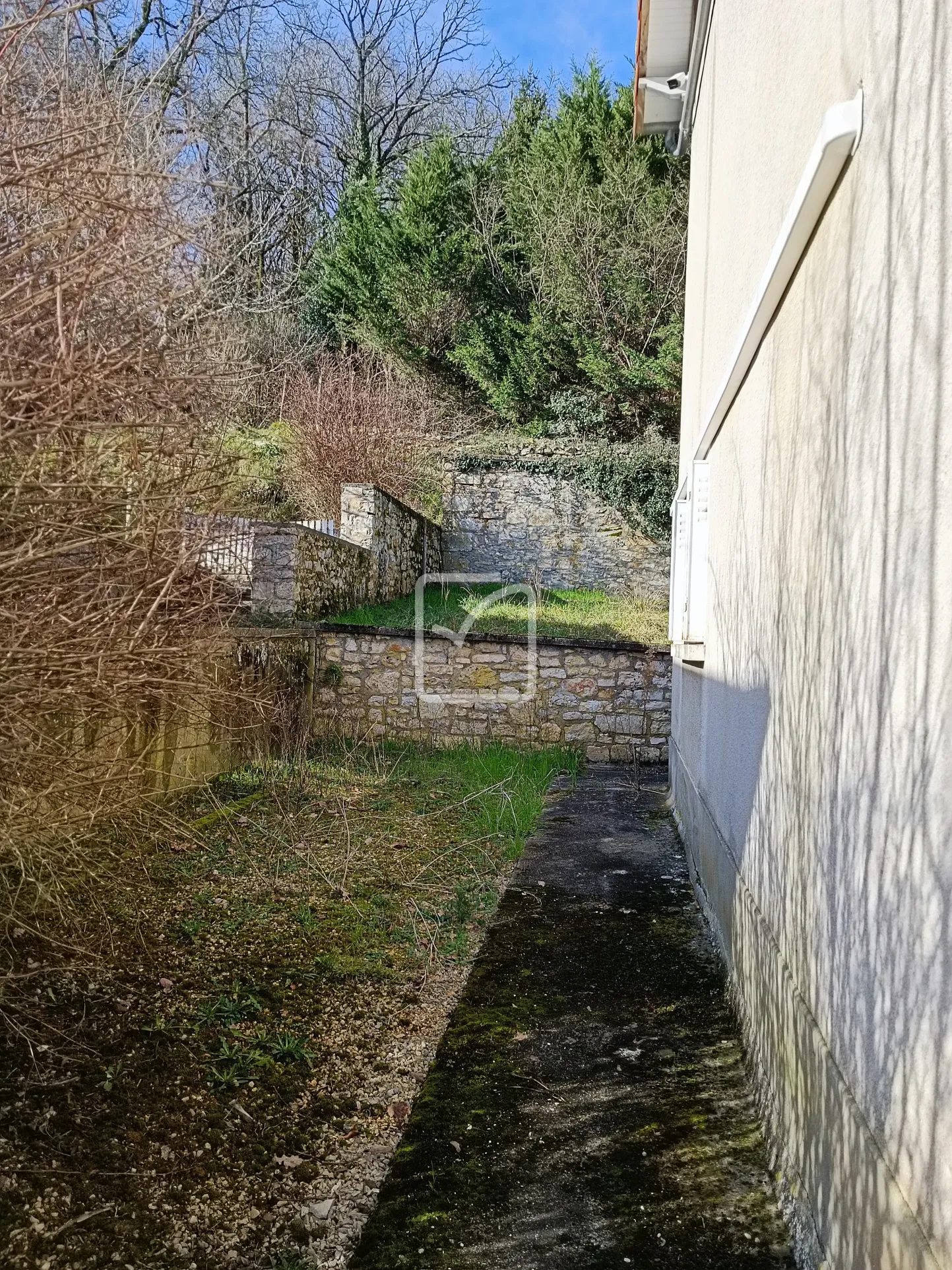 Maison double avec local professionnel à Savignac les Eglises 