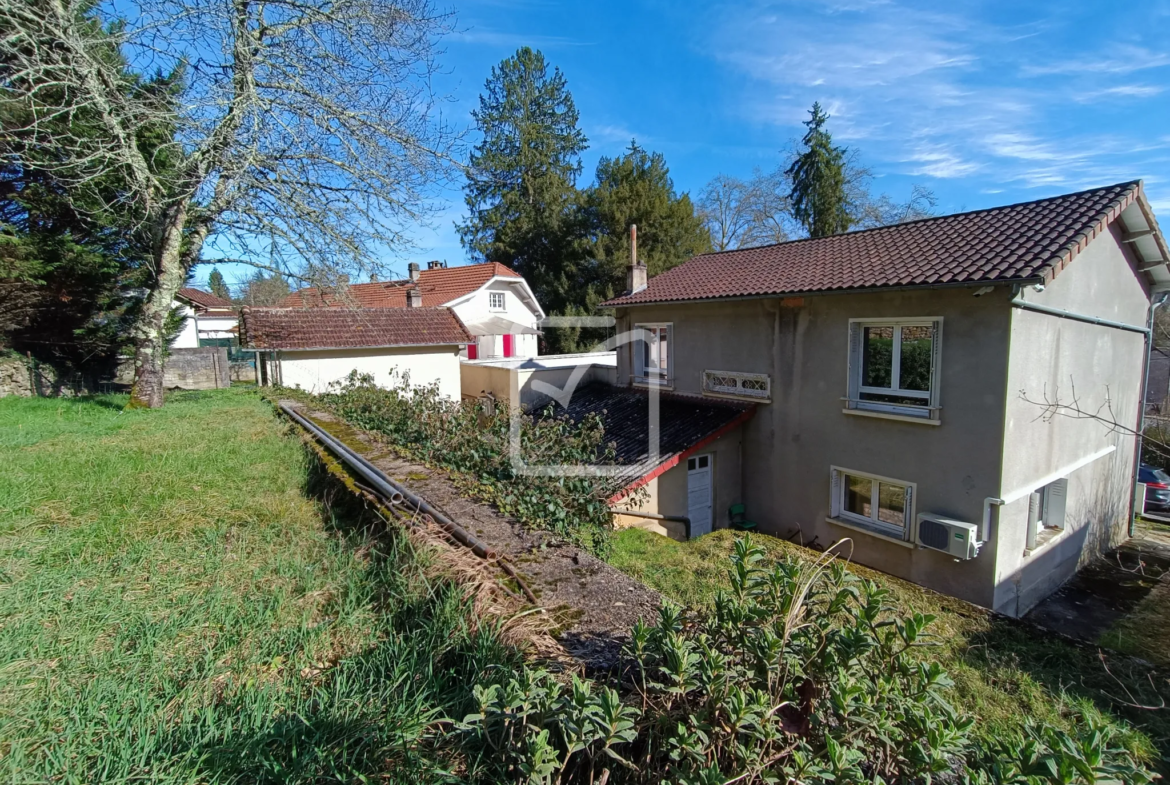 Maison double avec local professionnel à Savignac les Eglises 