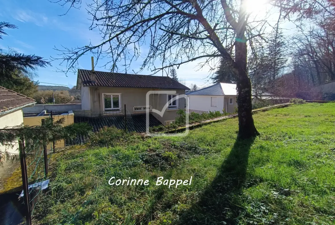 Maison double avec local professionnel à Savignac les Eglises 