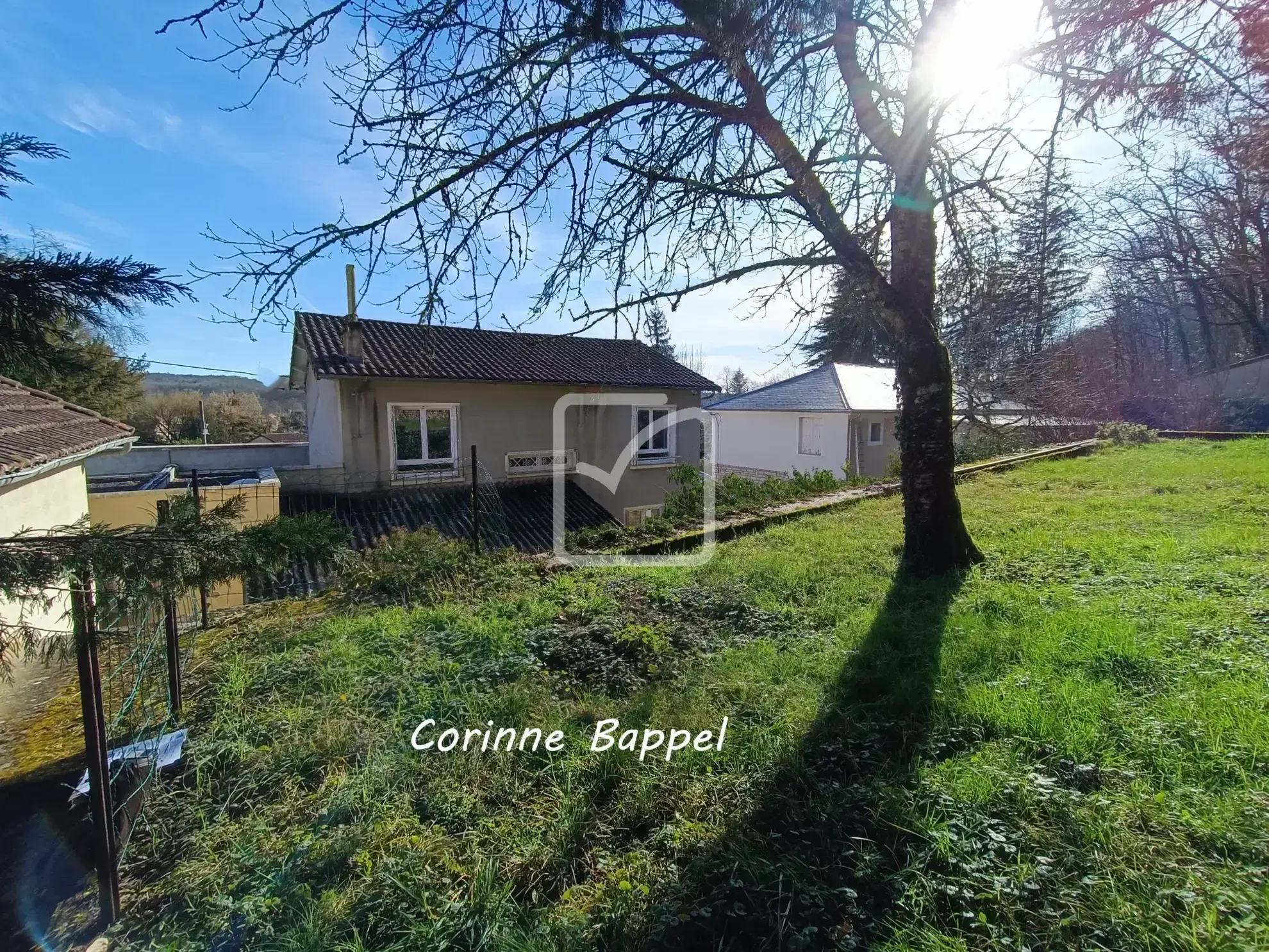 Maison double avec local professionnel à Savignac les Eglises 