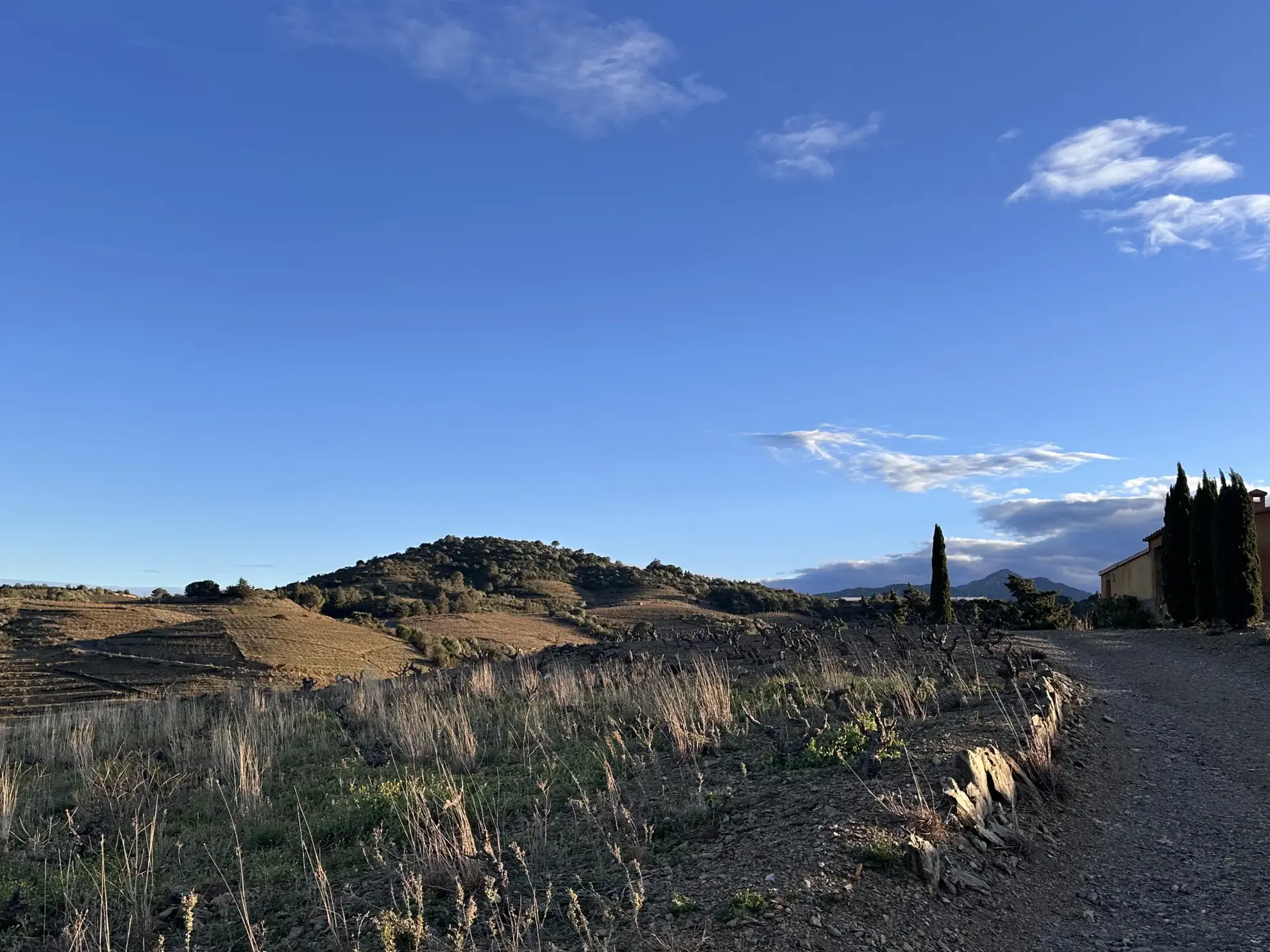 Achat d'une terre agricole de 5505 m² à Port-Vendres 