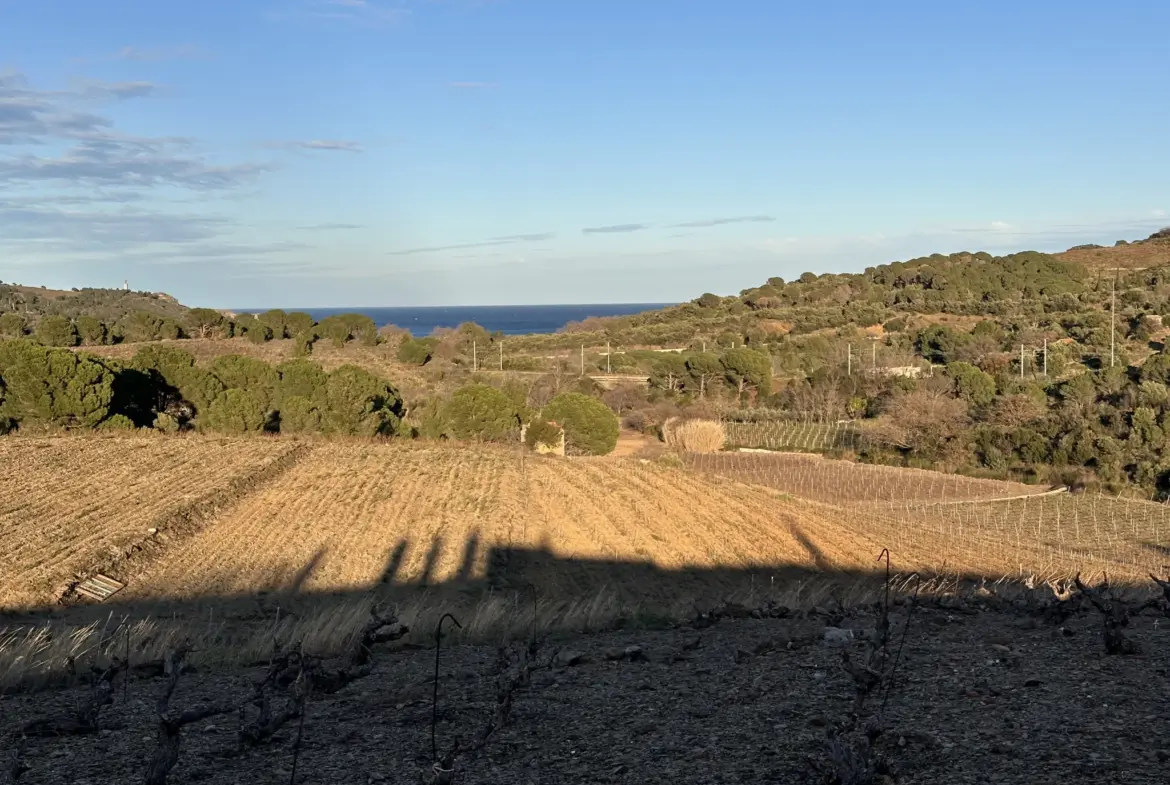 Achat d'une terre agricole de 5505 m² à Port-Vendres 