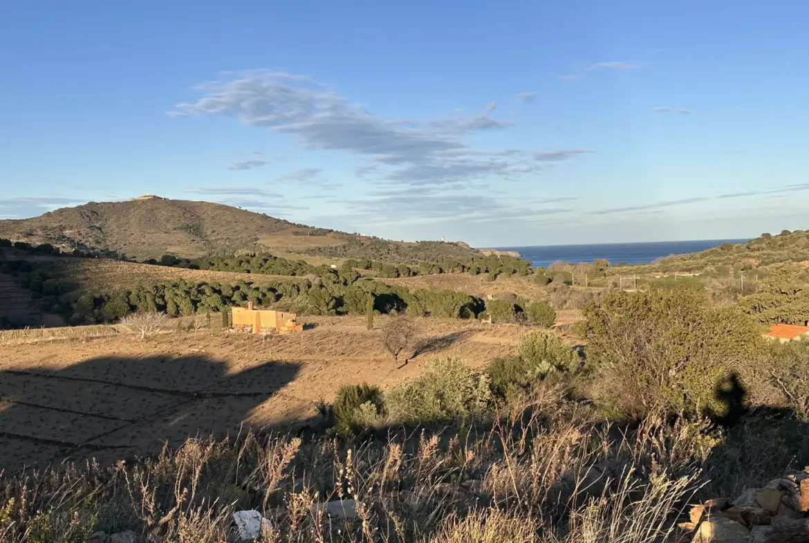 Achat d'une terre agricole de 5505 m² à Port-Vendres 