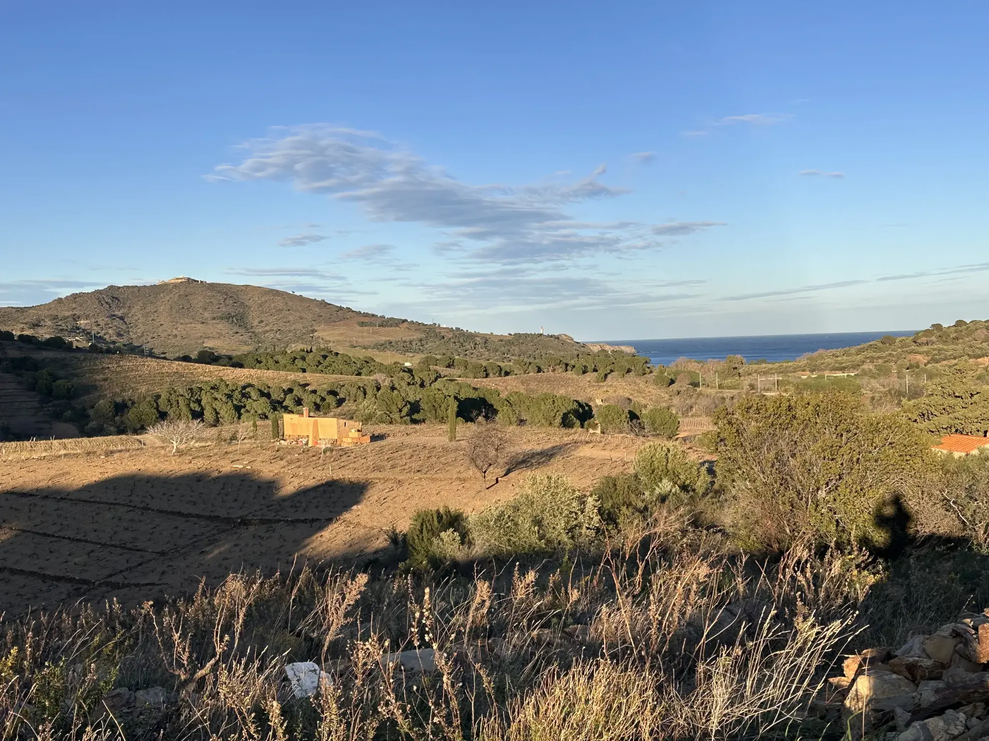 Achat d'une terre agricole de 5505 m² à Port-Vendres 