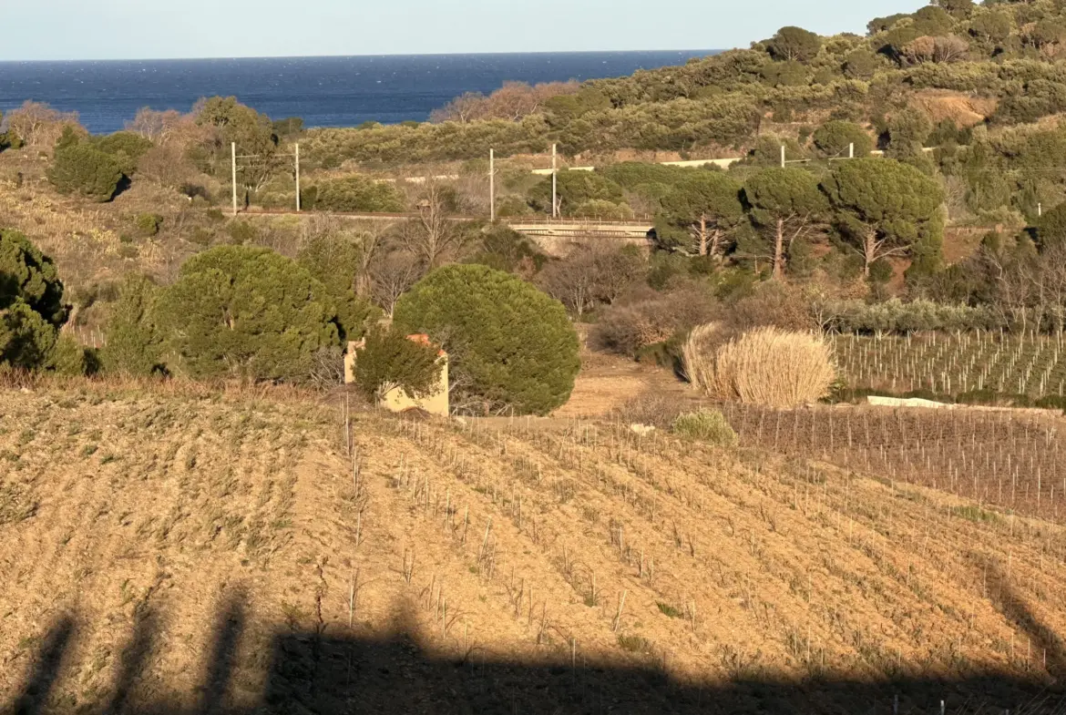 Achat d'une terre agricole de 5505 m² à Port-Vendres 