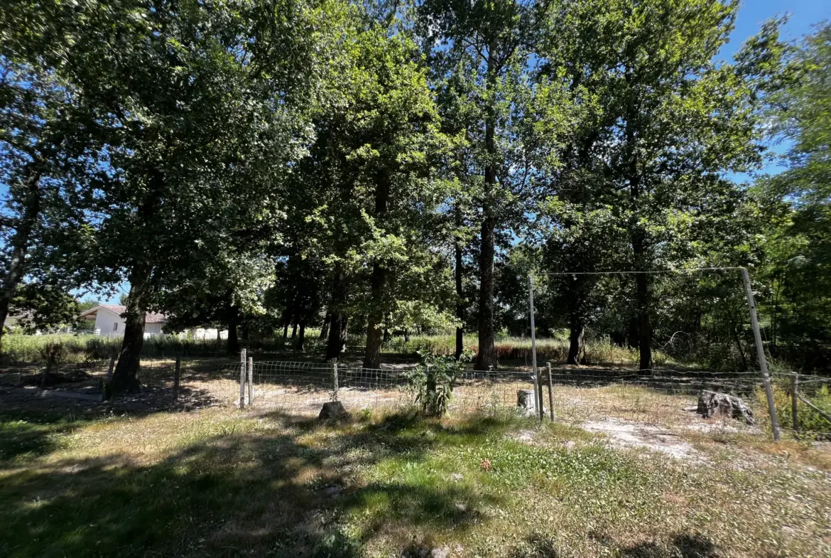 Maison 3 Chambres avec Terrain Arboré à Langon 