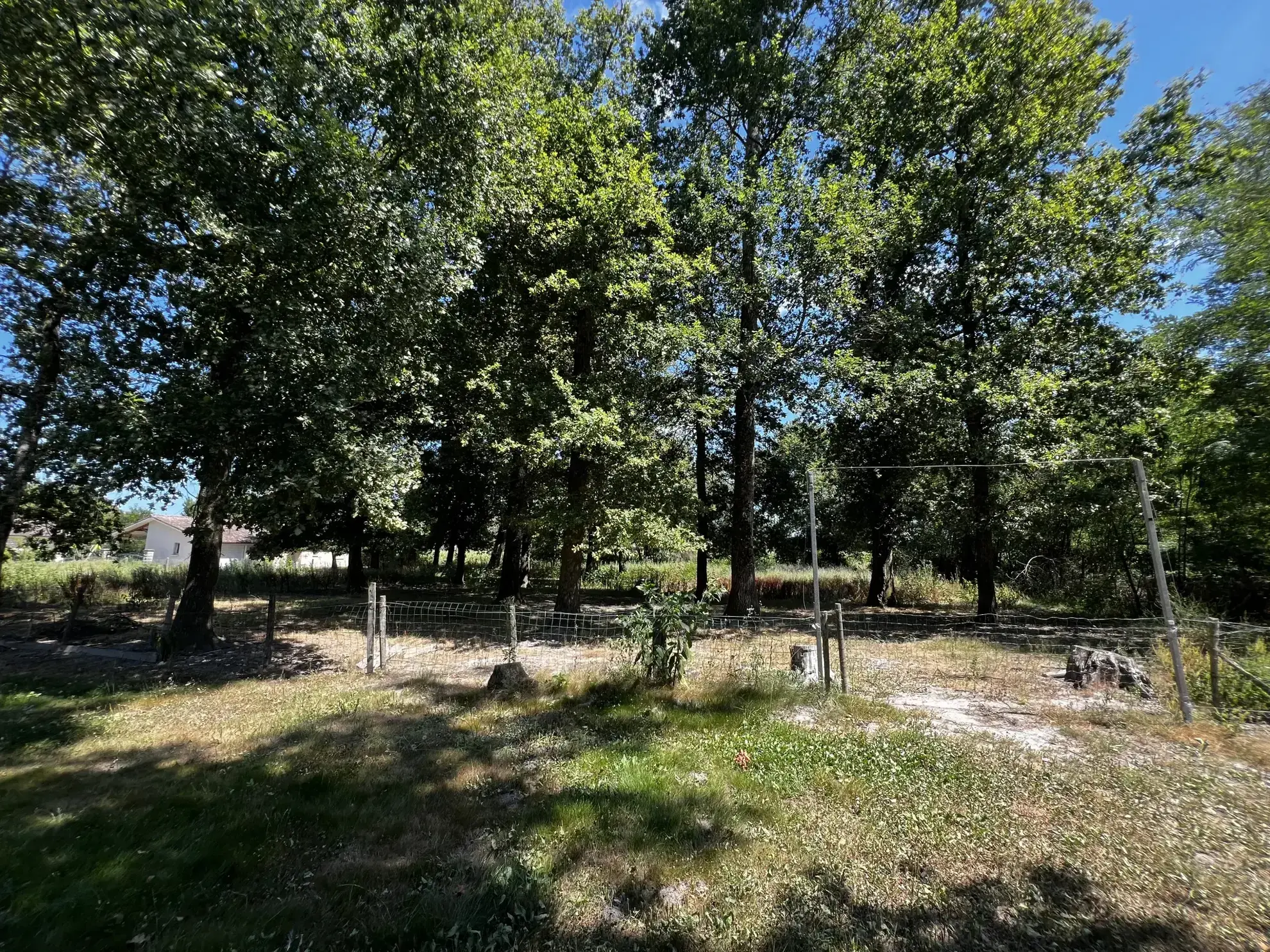 Maison 3 Chambres avec Terrain Arboré à Langon 