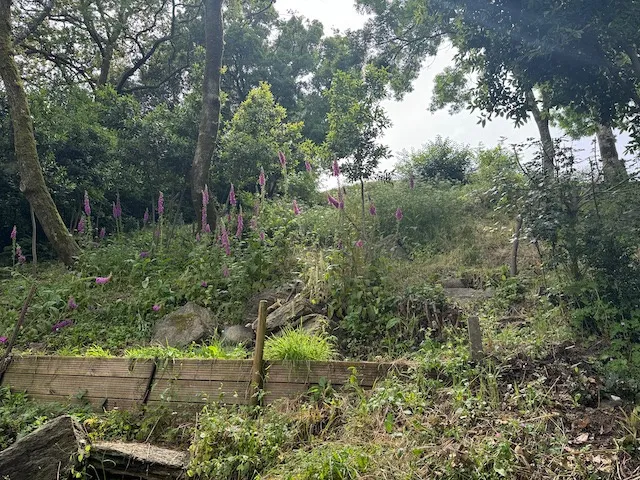 Terrain à bâtir avec vue exceptionnelle sur la rivière à Château-Guibert 