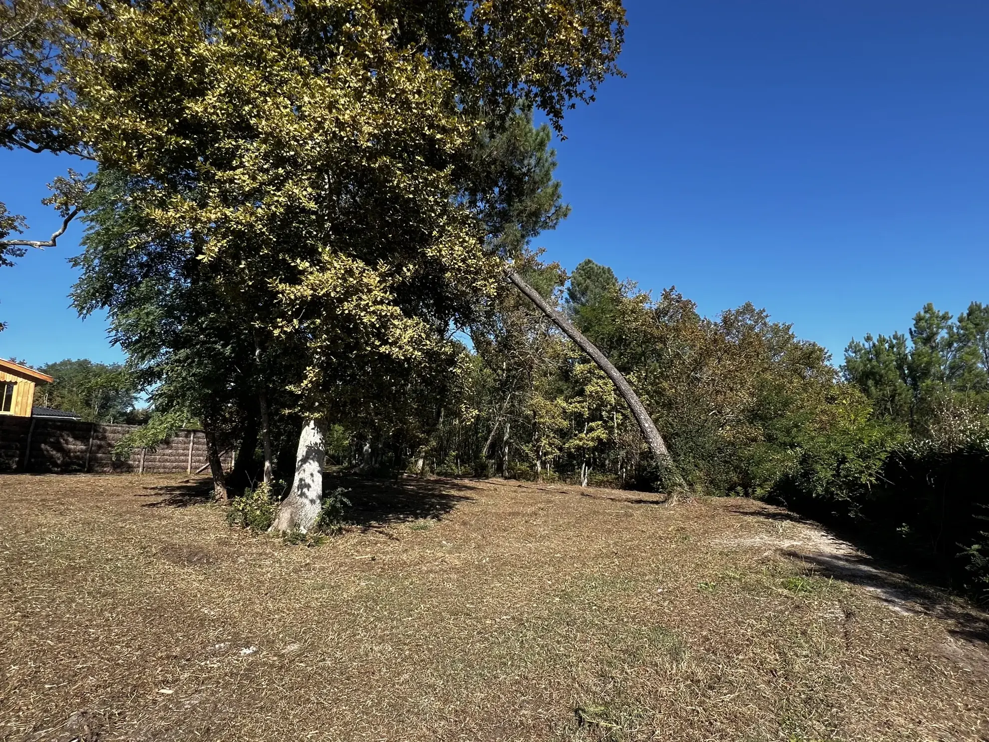 Terrain à bâtir à Roaillan, 1043 m² à vendre 