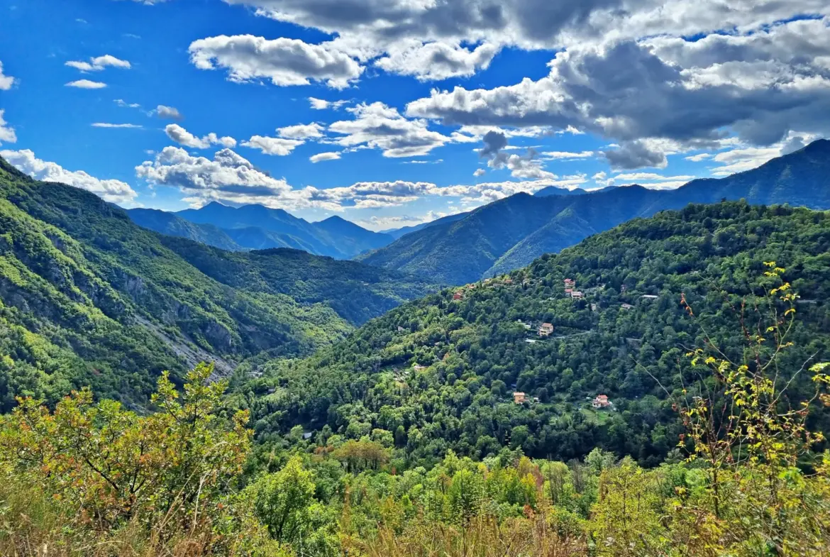 Terrain de Loisir de 1 252 m² aux Adrets, Proche de Belvédère 