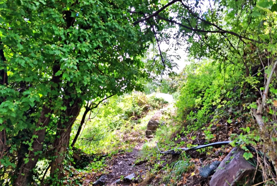 Terrain de Loisir de 1 252 m² aux Adrets, Proche de Belvédère 