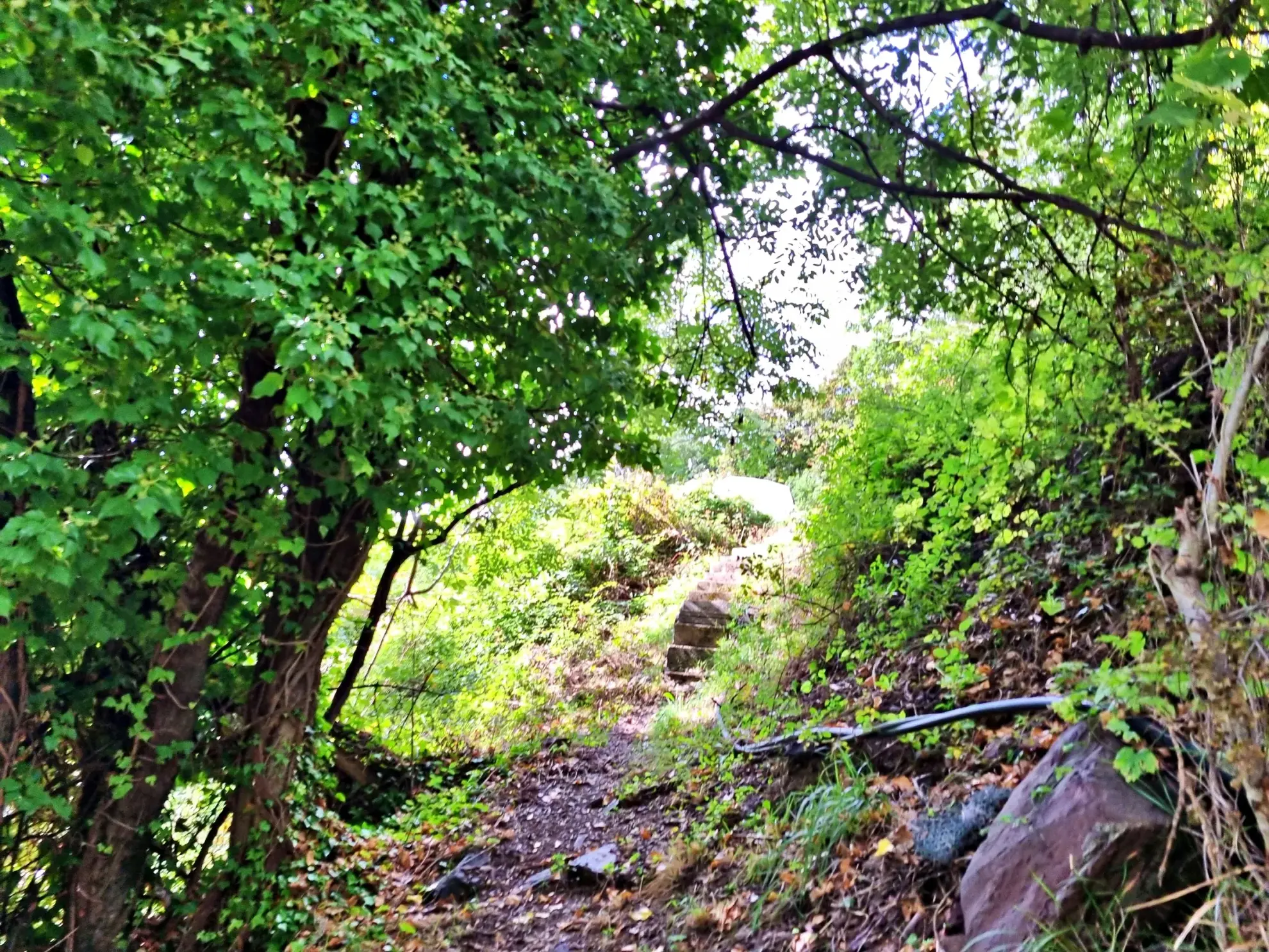 Terrain de Loisir de 1 252 m² aux Adrets, Proche de Belvédère 